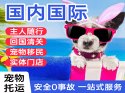 嘎洒航空物流国际宠物托运 【国