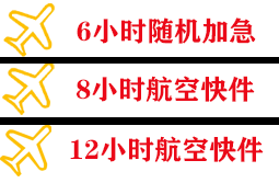 嘎洒航空物流快递公司,专业空运当天件